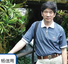 中关村自主品牌创新发展协会会长杨信用