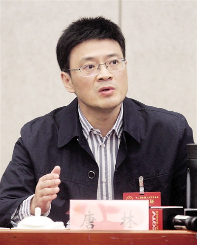重庆保税港区开发管理集团有限公司董事长唐林