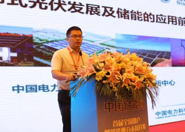 中国电科院新能源研究中心储能应用室主任杨波照片