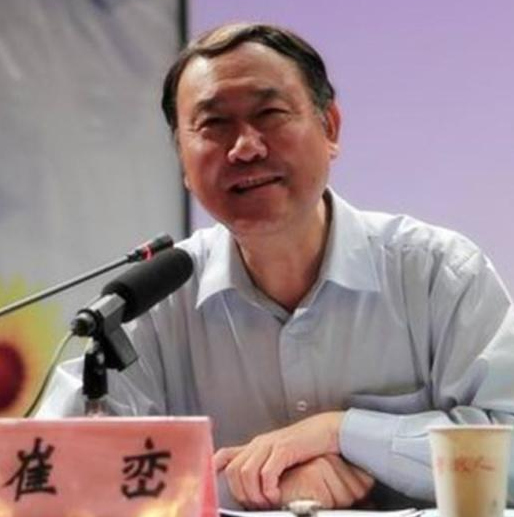 人民教育出版社编审崔峦