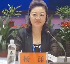 中国物流城市联盟秘书长杨潇