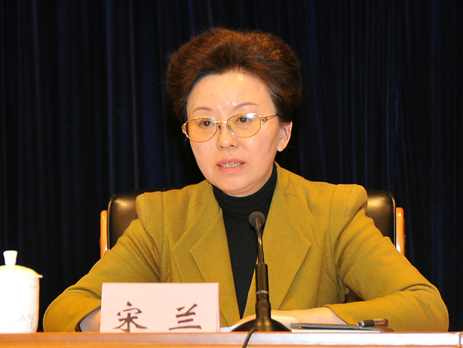 中国注册税务师协会会长宋兰
