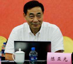 卫计委中国卫生发展中心特聘研究员陈亚光