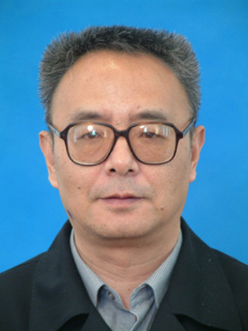 天津外国语大学英语学院教授林克难