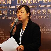 中国可再生能源学会光伏专委会秘书长吕芳照片