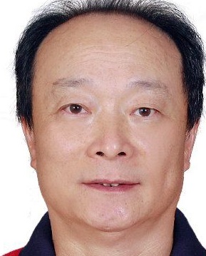 深圳地铁集团有限公司首席规划师 刘卡丁 照片