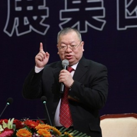 北京合展集团执行总裁申杲华