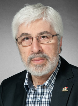 St. Jerome’s University/University of WaterlooProfessor，博士Gabriel Niccoli