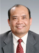中国海油能源经济研究院首席能源研究员陈卫东