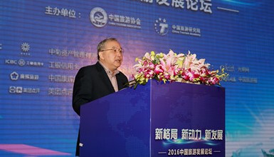 中国旅游协会会长段强