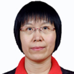 Harbin Institute of Technology, ChinaProfessorProf. Ping Zheng