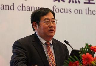 国汽轻量化联盟董事长林逸