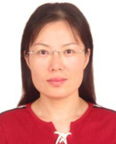 中国中冶管廊技术研究院技术委员会副主任米向荣照片