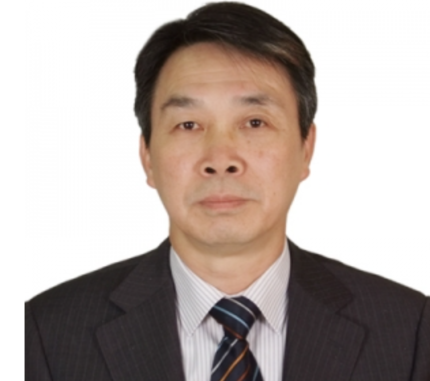 中国中钢集团公司信息管理中心总经理李红 