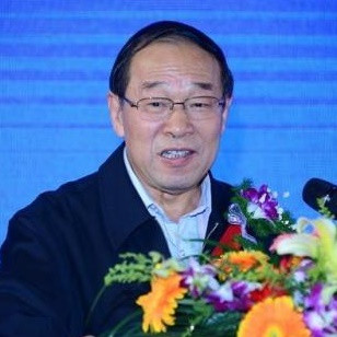 中国房地产业协会会长刘志峰