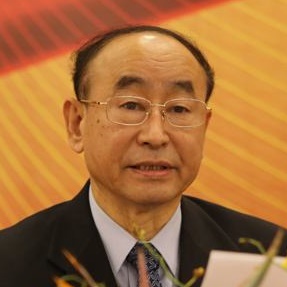 中国石油和化学工业联合会常务副会长李寿生照片