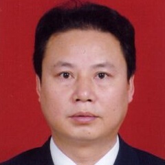中国社会科学院副院长李扬照片