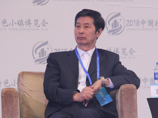 中国开发性金融促进会副会长袁英华