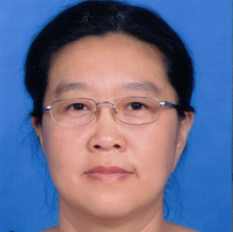 中科院遥感地球所研究员、主任唐娉