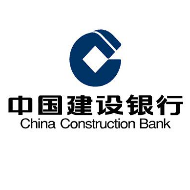 建设银行数据管理部数据标准处处长车春雷