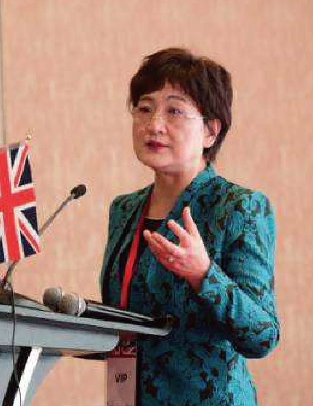 中国社会福利与养老服务协会会长冯晓丽