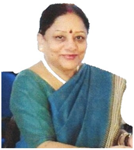 班加罗尔Nitte Meenakshi理工学院印度班加罗尔Nitte Meenakshi理工学院教授、机器人研究中心主任Jharna Majumdar