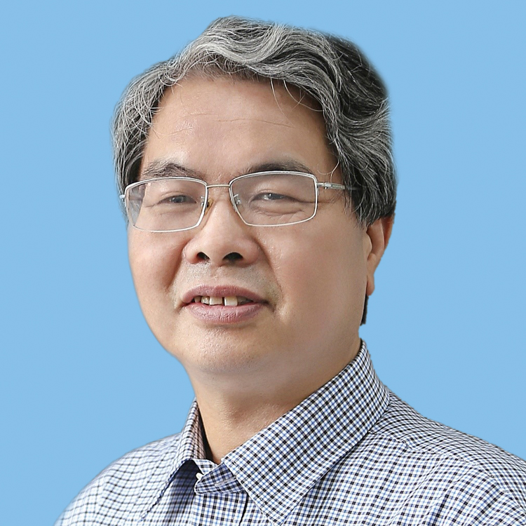  CAAI副理事长、西安电子科技大学教授、IEEE/IET/CAAI Fellow焦李成
