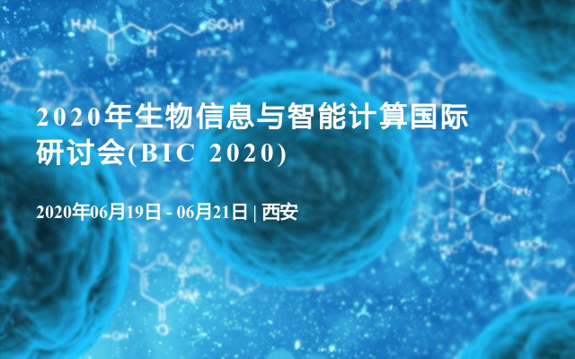 2020年生物信息与智能计算国际研讨会(BIC 2020) 