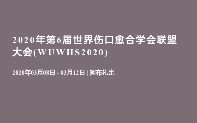 2020年第6届世界伤口愈合学会联盟大会(WUWHS2020)