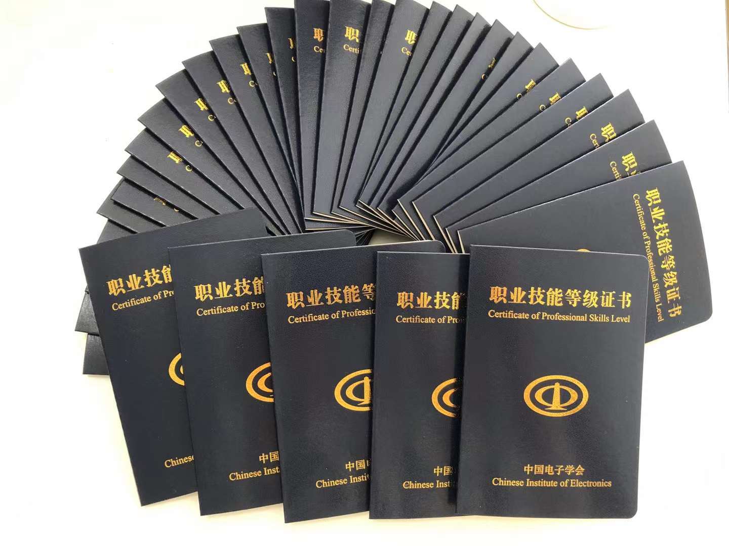 互联网内容审核职业技能等级高级培训班