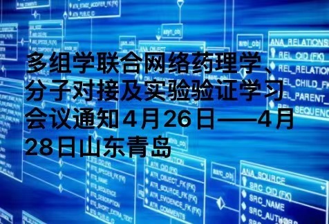 多组学联合网络药理学、分子对接及实验验证