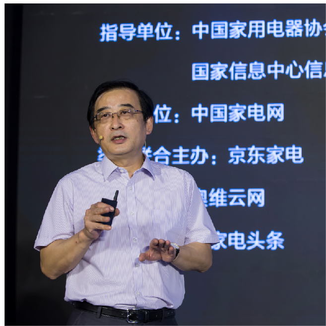 国家发改委宏观院 资深产业专家蔡莹