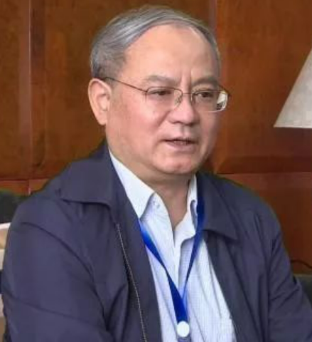 中国电子商会智能电动汽车专委会秘书长王务林