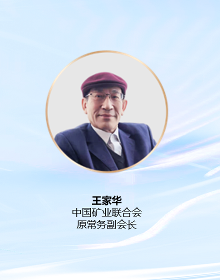 中国矿业联合会原常务副会长王家华照片