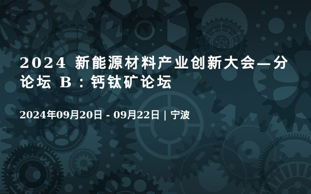 2024 新能源材料产业创新大会—分论坛 B：钙钛矿论坛