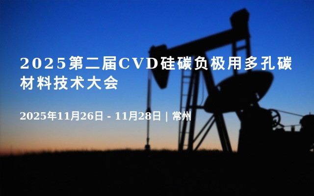 2025第二届CVD硅碳负极用多孔碳材料技术大会