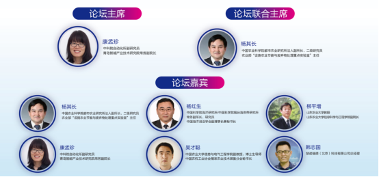 2019国家智能产业峰会（青岛）