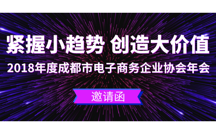 紧握小趋势 创造大价值——2018年度成都市电子商务企业协会年会（2019.01.24）