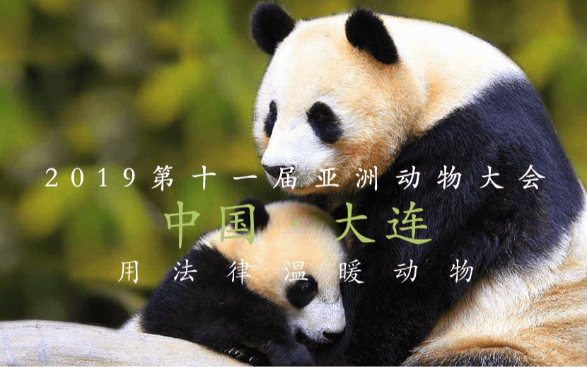 2019第十一屆亞洲動物大會（Asia for Animals）| 大連