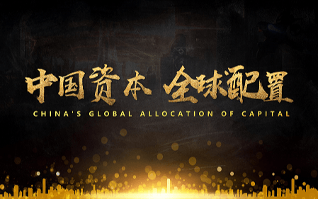 2019一带一路中国企业全球化论坛暨海外投资峰会（上海）