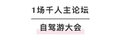 2020自驾游大会（上海）