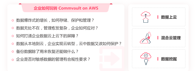 企业如何玩转Commvault on AWS