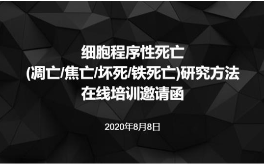 细胞程序性死亡(凋亡/焦亡/坏死/铁死亡)研究方法在线培训班