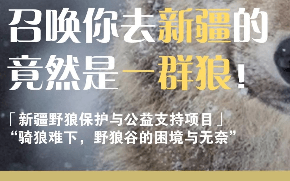 成长传送门-新疆野狼保护与公益支持项目