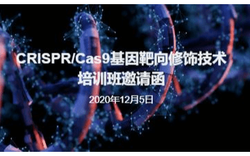 CRISPR/Cas9基因靶向修饰技术 培训班