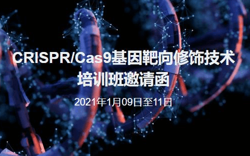 CRISPR/Cas9基因靶向修饰技术培训班北京1月班