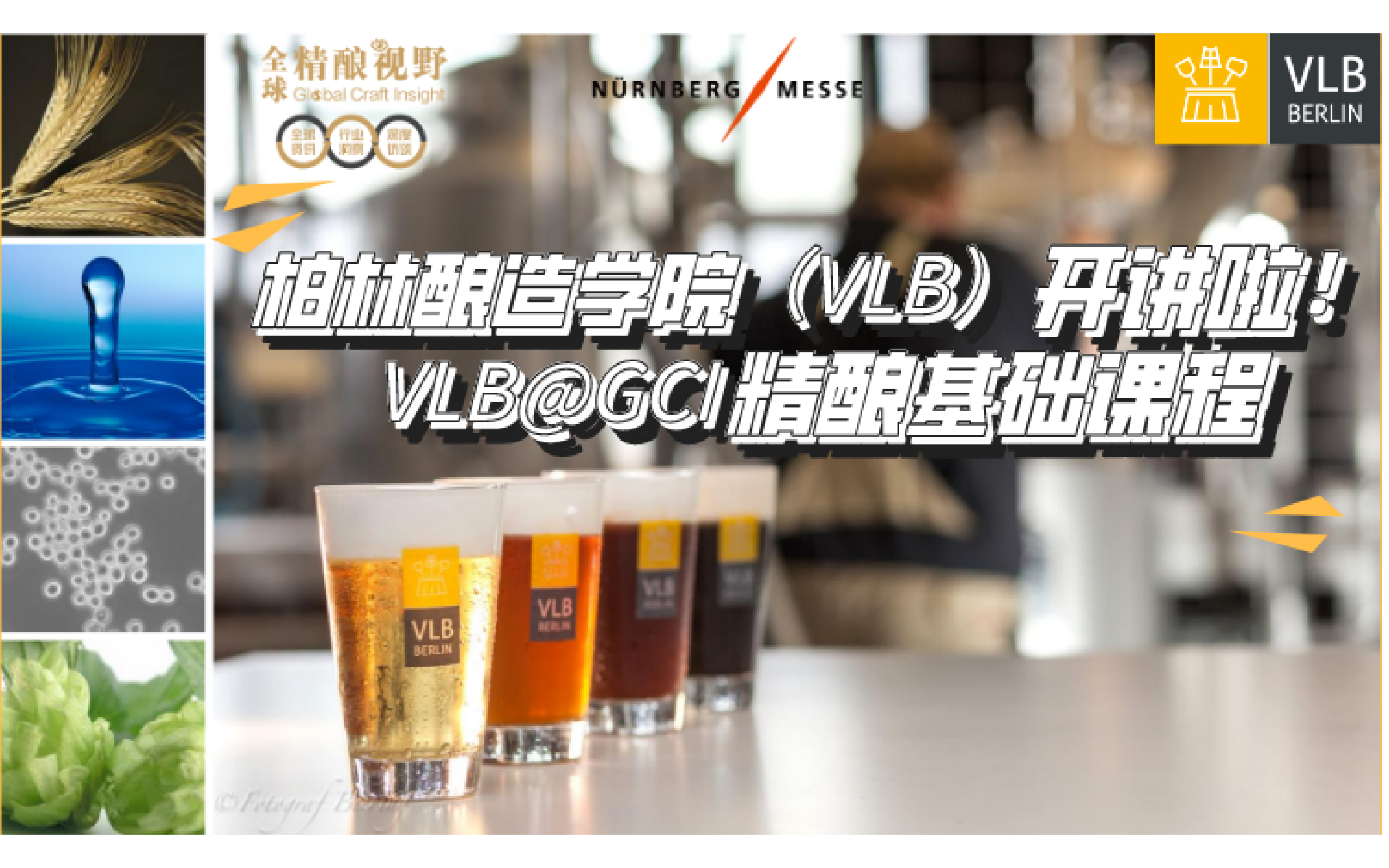 柏林酿造学院（VLB）精酿基础课程1月