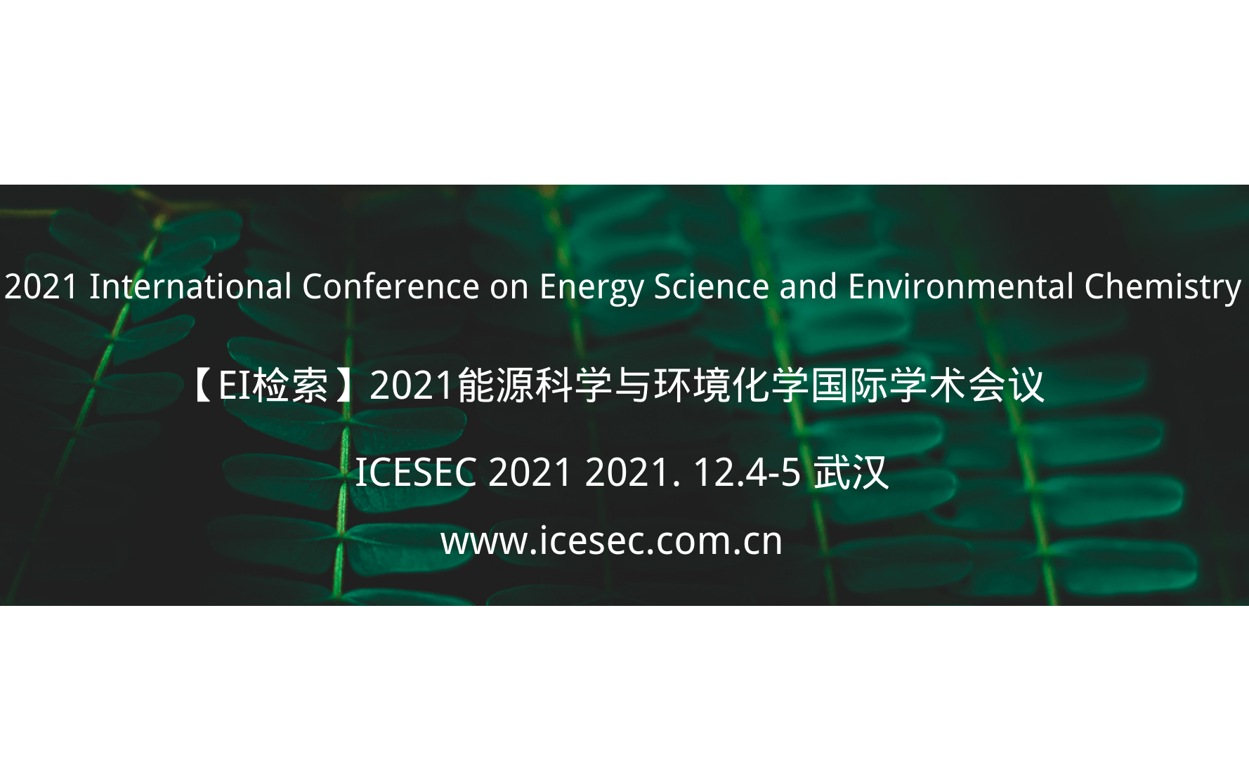 2021能源科学与环境化学国际学术会议