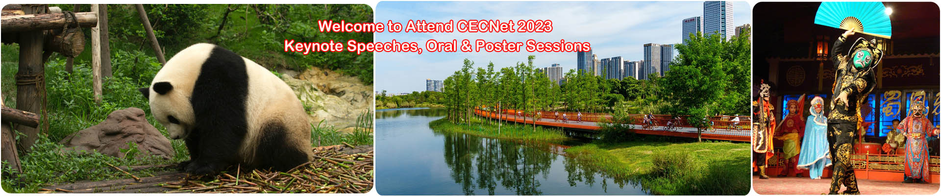 第十三届电子、通信与网络国际学术会议(CECNet2023)