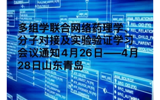 山东-青岛多组学联合网络药理学、分子对接及实验验证